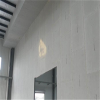 海门宁波ALC板|EPS加气板隔墙与混凝土整浇联接的实验研讨